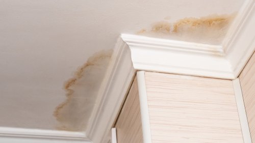 How To Get Rid Of Ugly Water Stains On Your Walls And Ceilings - House Digest