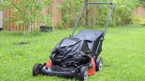 Easily Access Your Stowed Away Lawn Mower With A Clever Storage Solution