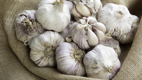 Save Your Plastic Water Bottle To Grow An Endless Supply Of Garlic