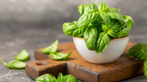 Grow Better, More Flavorful Basil With One Simple Garden Addition