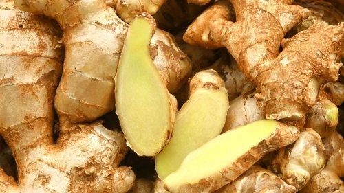 Culinary Ginger Plants: Everything To Know Before Planting