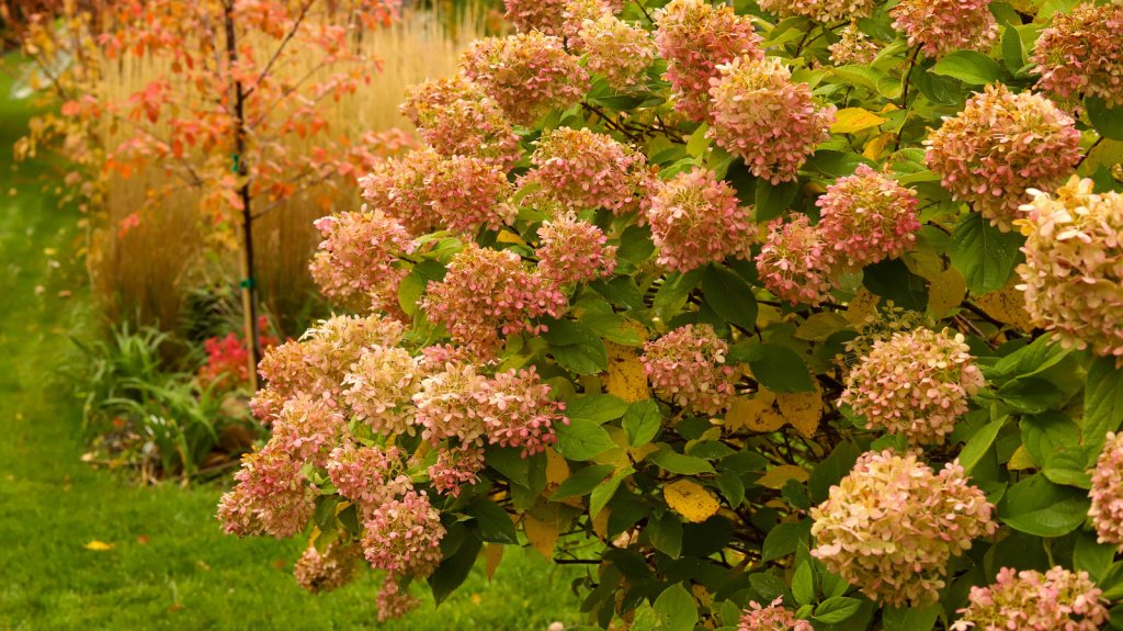 Gardening - cover