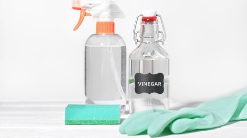 How To Use Vinegar To Keep Your House Clean