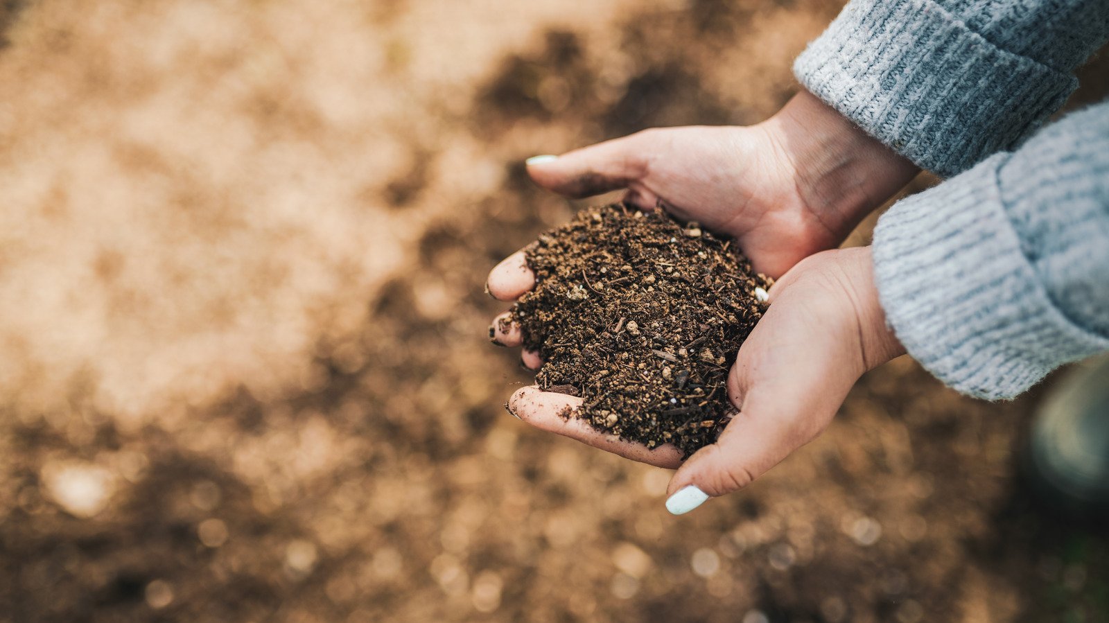How Much Compost Should You Add To Your Garden Soil