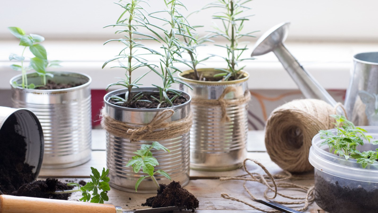 DIY A Beautiful Hanging Herb Garden With This Easy Can Hack - House Digest