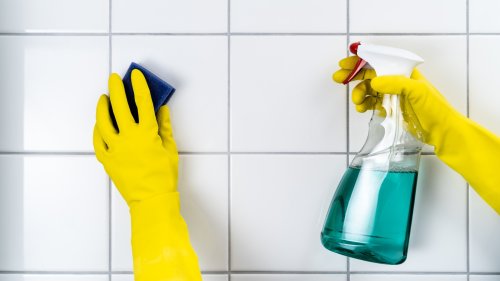 The 5 Best Grout Cleaners You Need For Your Home