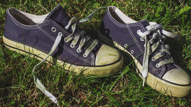 The Simplest Salt Solution Is The Answer To Getting Rid Of Grass Stains