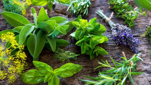 Keep Your Harvested Garden Herbs Fresh For Weeks With An Easy Jar Hack
