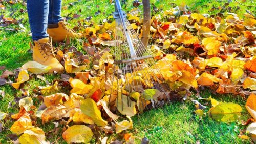 Crucial Lawn Care Tasks For The Month Of October You Don't Want To Miss