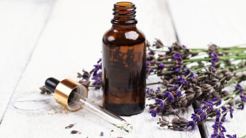 9 Unwanted Pests You Can Naturally Deter With Lavender