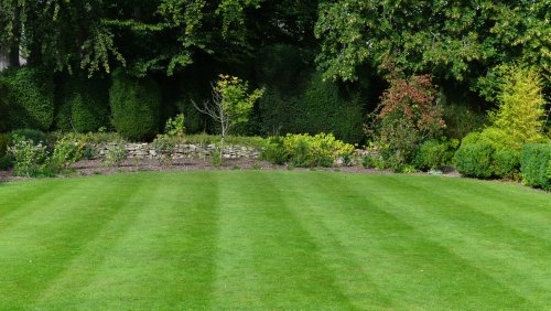 Here's Why You Should Be Striping Your Lawn