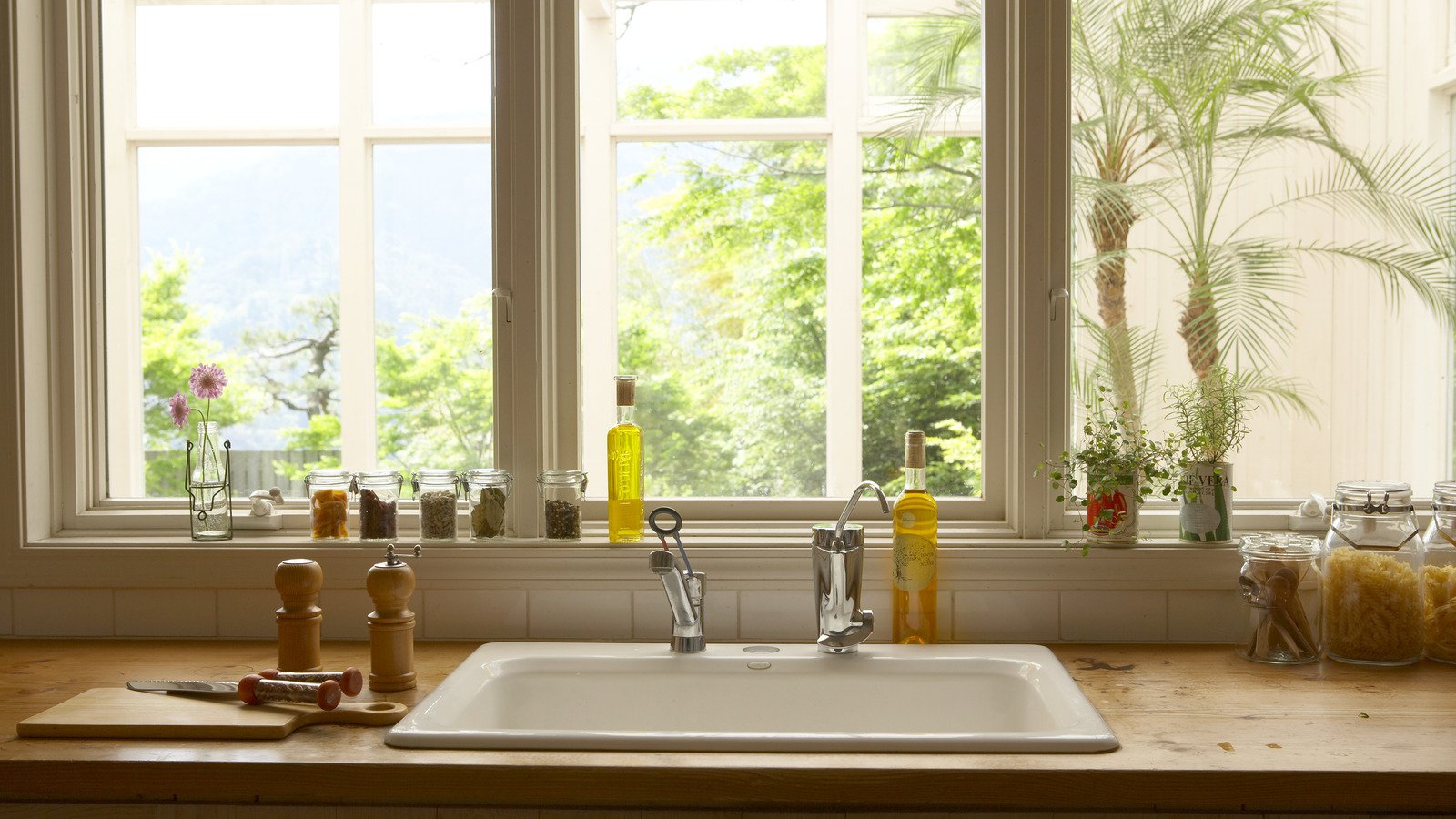 Kitchen Mistakes That Could Be Attracting Mosquitoes Into Your Home