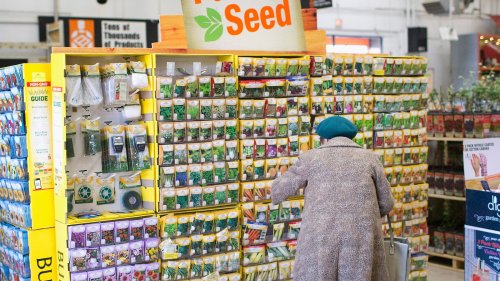 TikTok Shares Why You Should Avoid Buying Seeds At A Big Box Store