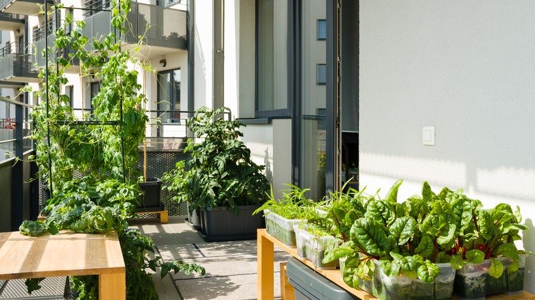 Elevate Your DIY Container Garden With This Handy Project