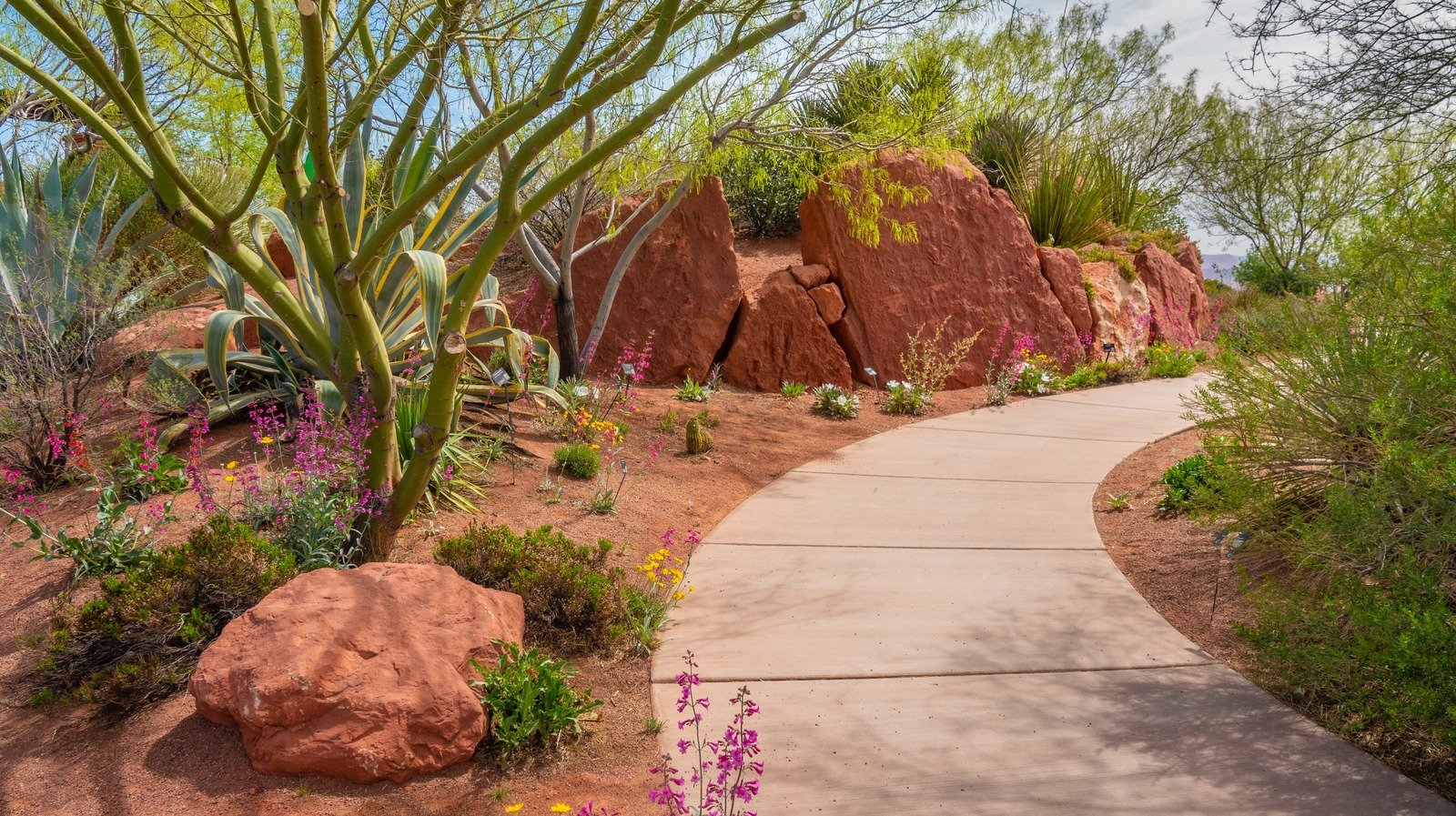 How To Decide If A Desert Garden Is The Right Choice For You Flipboard