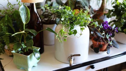 From Beverage Dispenser to Planter: Repurposing A Damaged Stoneware Crock