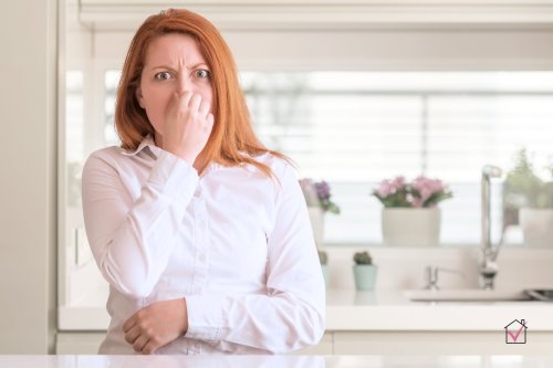 Deodorize Your Home: 10 Common Home Odors and How to Fix Them