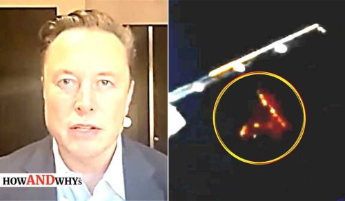 Elon Musk's SpaceX Continues To Detect Something Massive On Its Missions