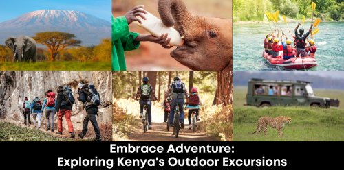 Embrace Adventure: Exploring Kenya’s Outdoor Excursions