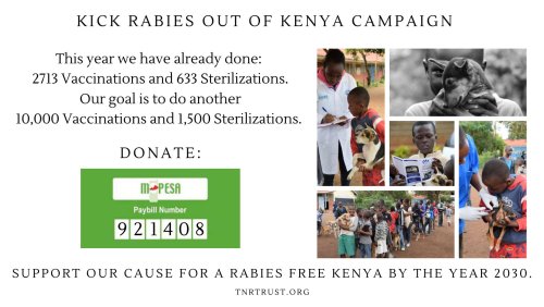 TNR Trust – Support Our Cause For Rabies Free Kenya By 2030
