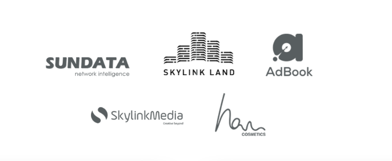 Skylink Group cover image