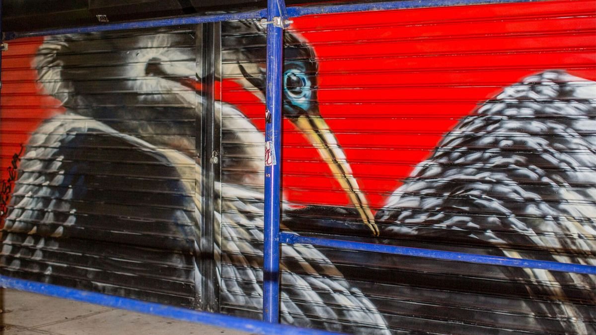 Audubon Mural Project Artists Paint Birds on the Brink