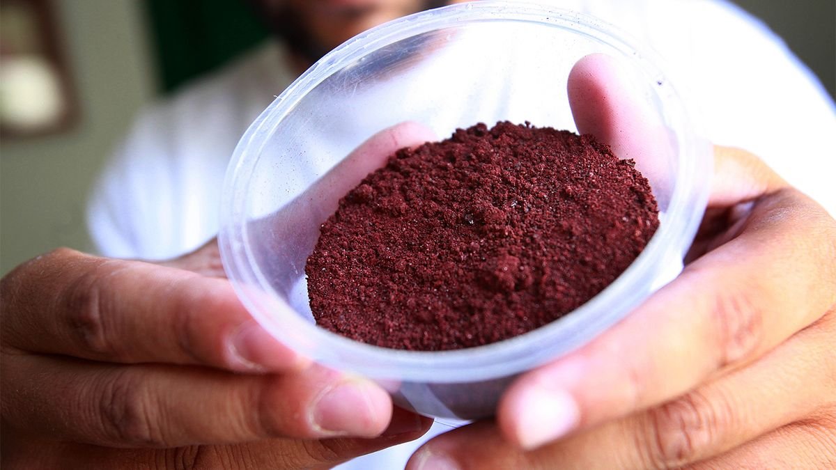How Carmine, the Red Dye Made From Bugs, Makes It Into Your Food