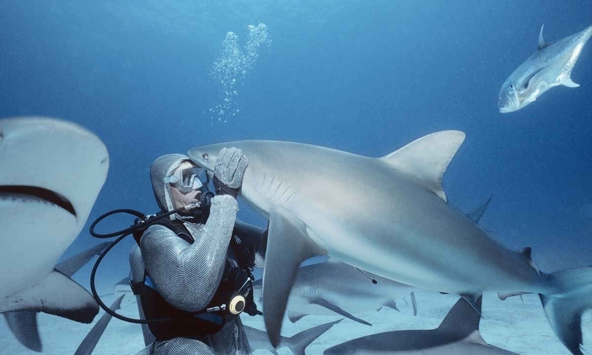 Can I Survive a Shark Attack by Gouging Out Its Eyes?