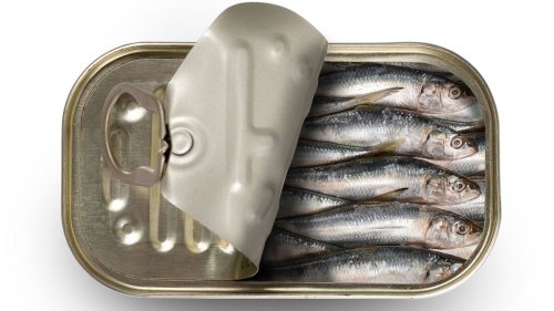 Sardines: The Stinky Little Fish You Should Be Eating — Plus Other Tasty Seafood