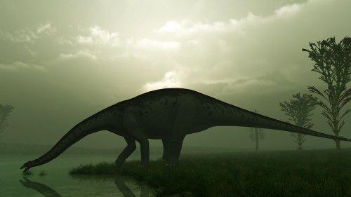  Brontosaurus vs. Brachiosaurus: Comparing Long Necks