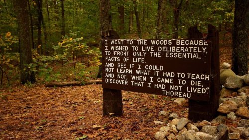 What Is Transcendentalism and How Did It Change America?