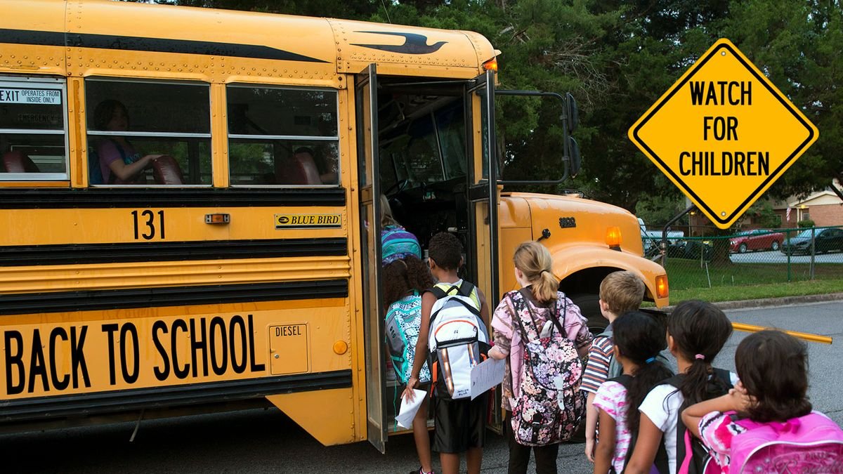 Why Aren't Seat Belts Required on All School Buses?