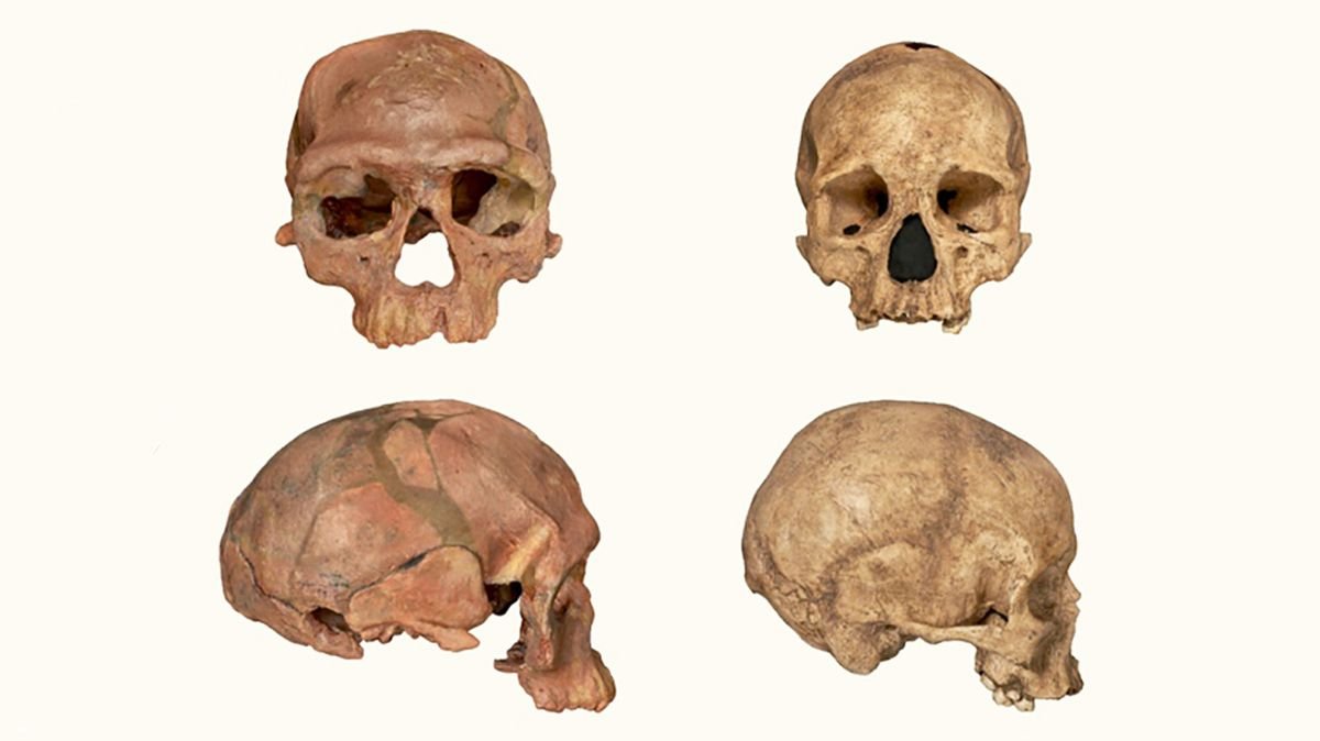 Oldest Homo Sapiens Fossils Ever Found Suggest a Human Evolution Rewrite
