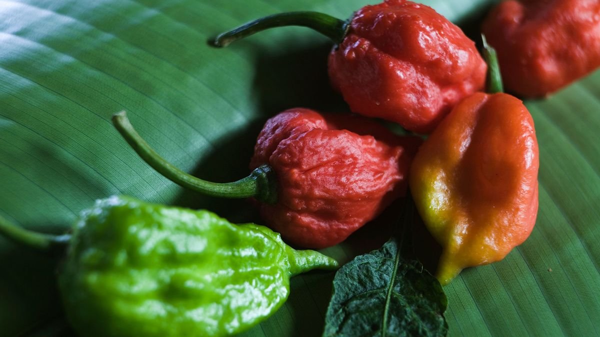 Can Ghost Peppers Kill You?