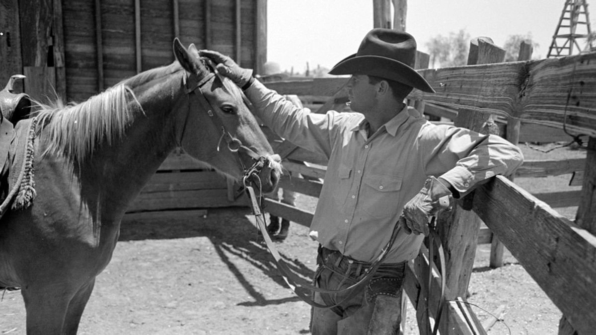 How the Cowboy Saddled Up and Rode Into American History