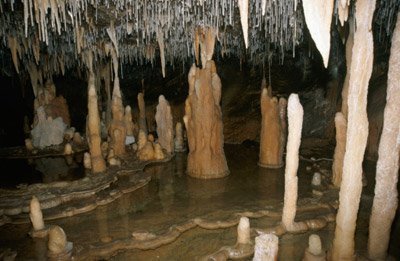 What's the Difference Between Stalactites and Stalagmites?