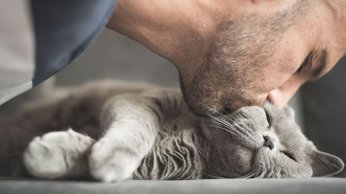 Slow Blinking at Your Cat Really Bonds You Both — Try It!