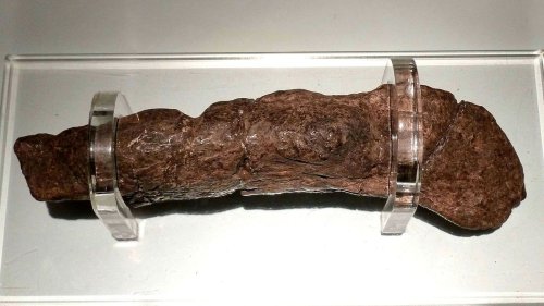 The World's Longest Poop Story Is a Crock of, Well — Plus More About Poop