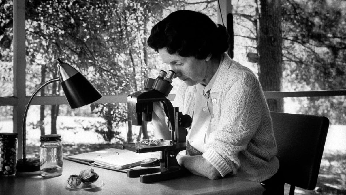 3. 10 Things You Should Know About Rachel Carson