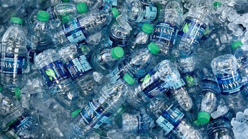 Does Bottled Water Go Bad? — Plus More Green Science