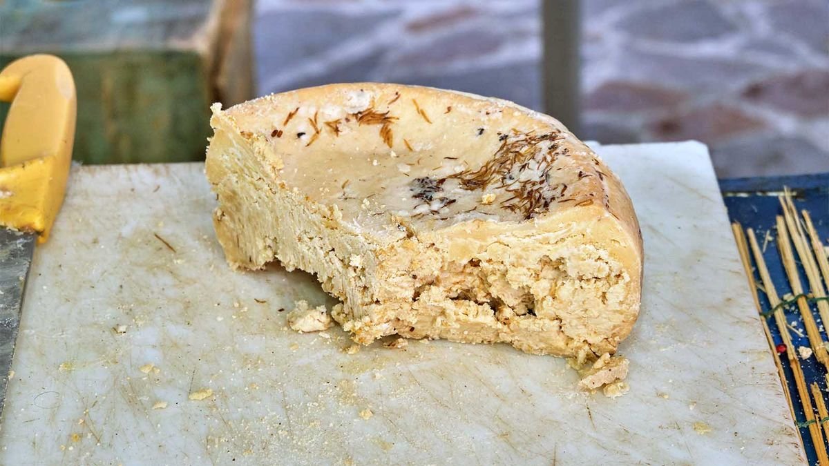 Would You Eat Casu Marzu, the Illegal Cheese With Maggots? - cover
