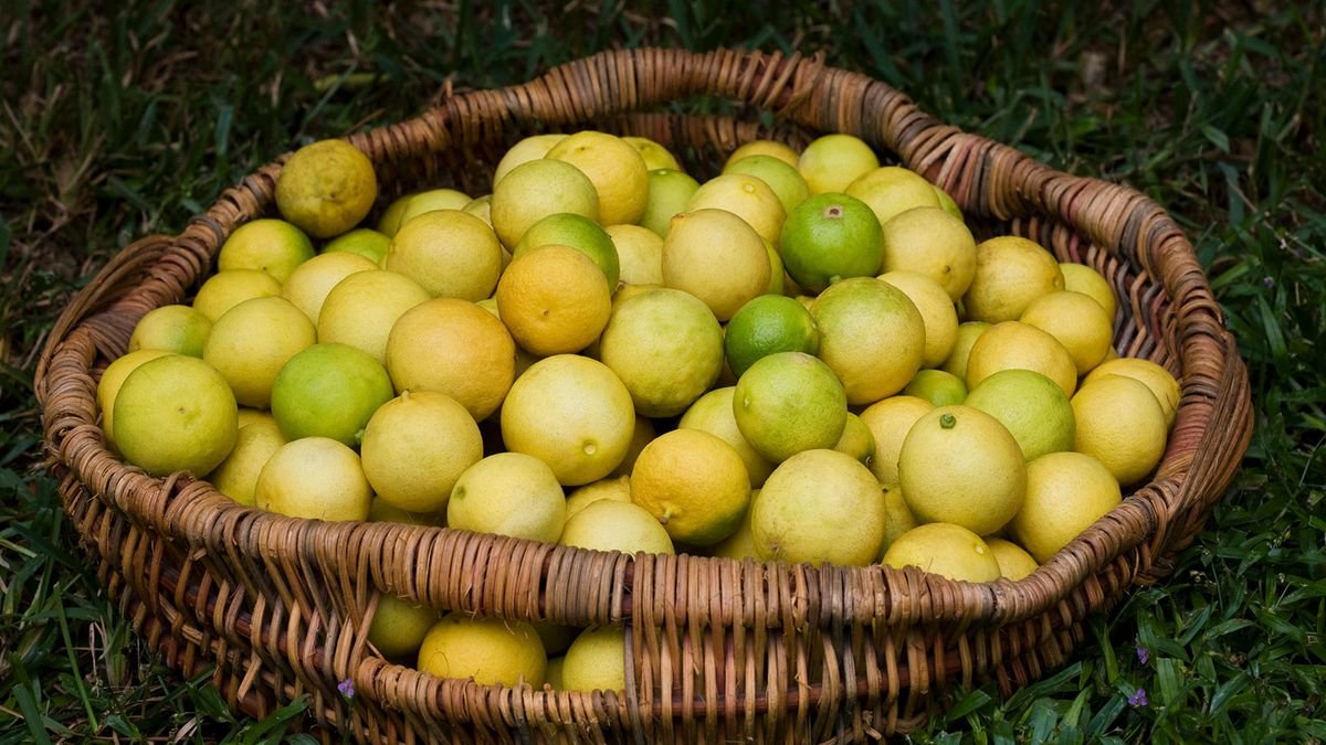 What's the Difference Between Key Limes and Regular Limes?