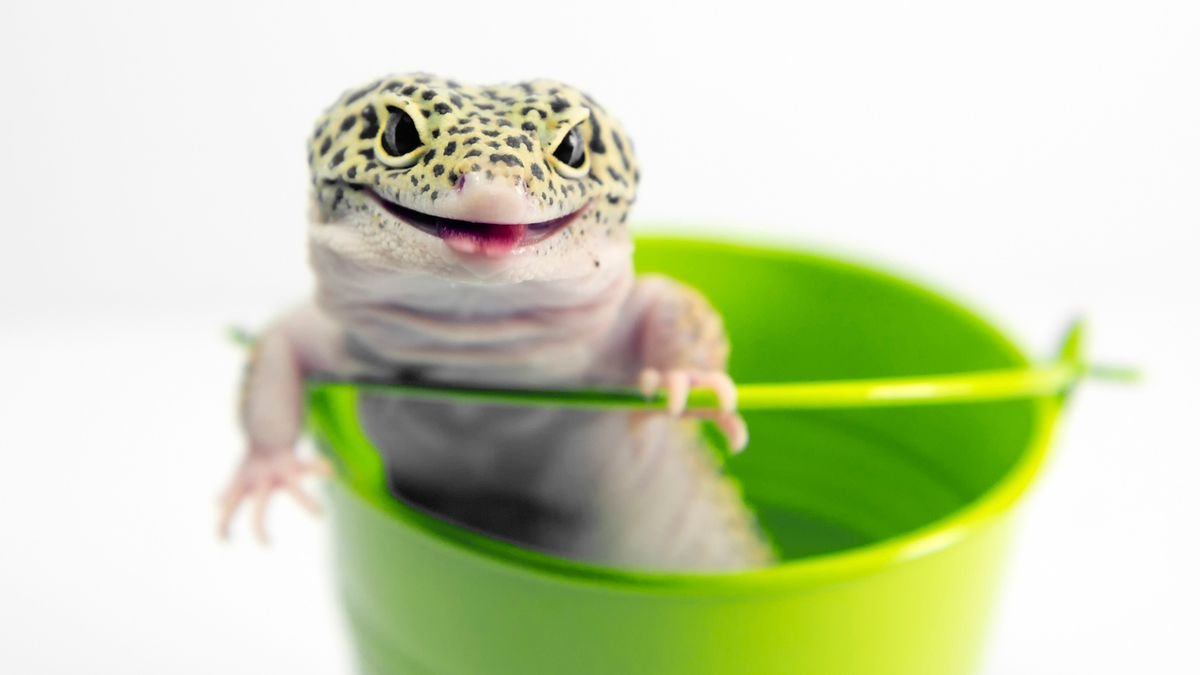 Snakes With Legs Were Once a Real Thing