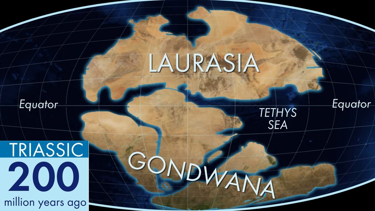 How the Ancient Land Blob Gondwana Became Today's Continents