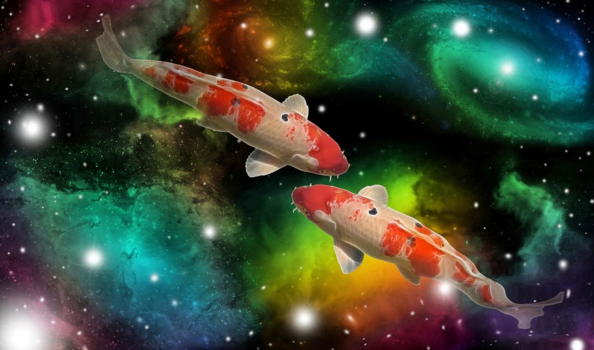 Is Pisces a Water Sign? What This Element Reveals About You