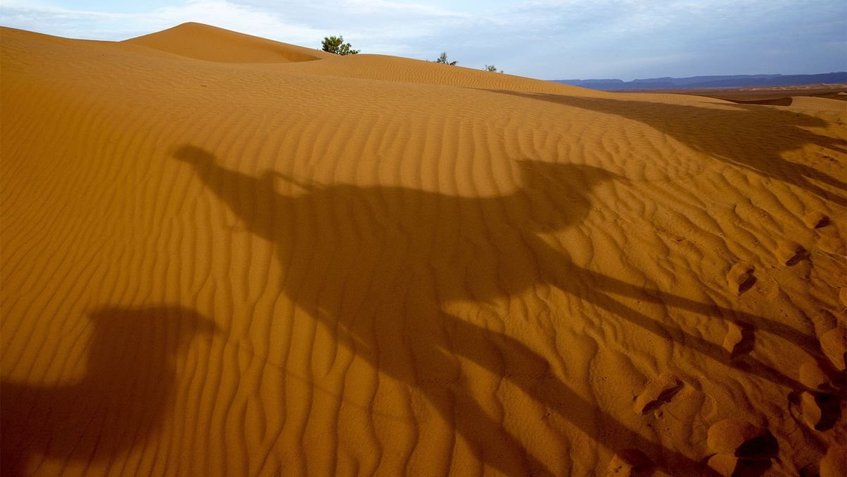 What Are the 5 Hottest Deserts on Earth?