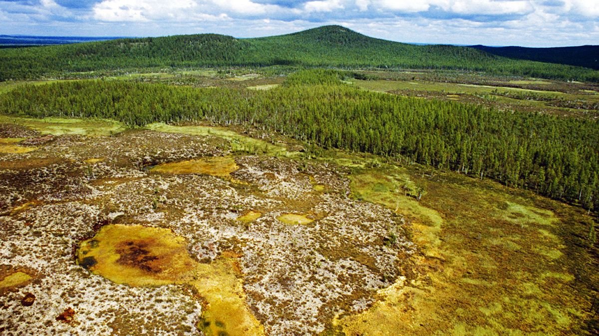 No One Knows What Caused a Massive 1908 Explosion in Siberia