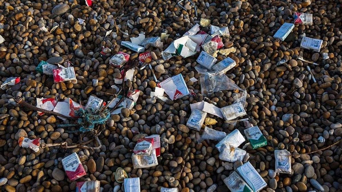 What Happens to the Billions of Cigarette Butts on the Beach?