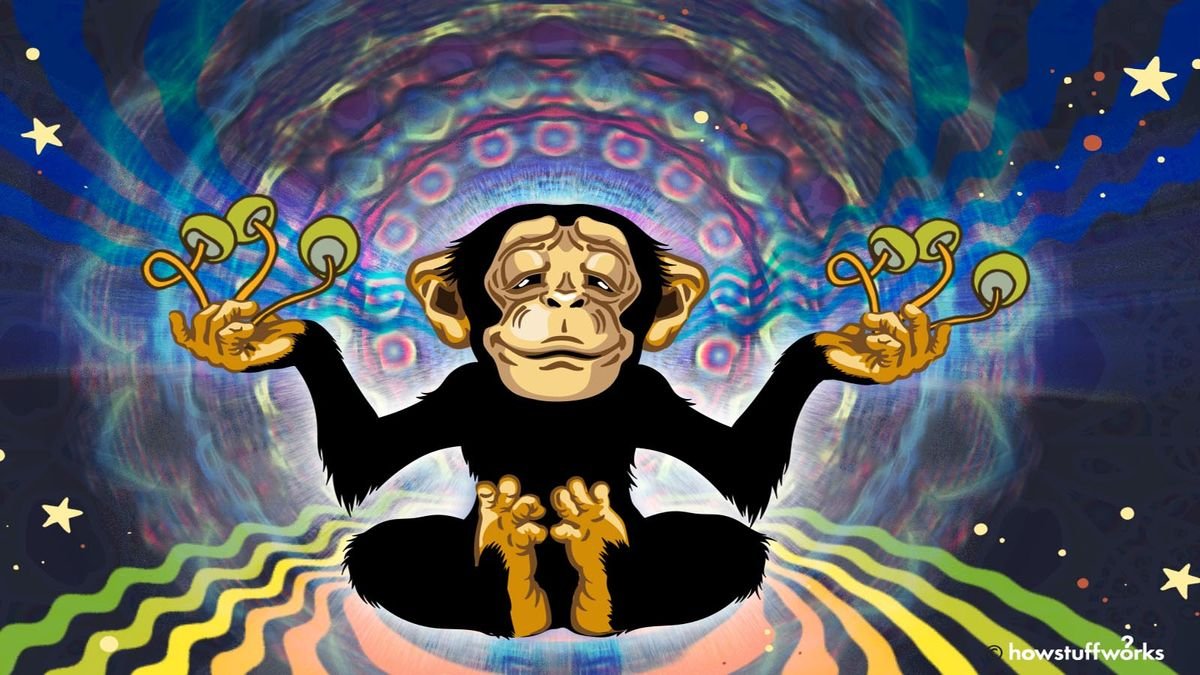 The Stoned Ape Hypothesis: Did Magic Mushrooms Influence Human Evolution?