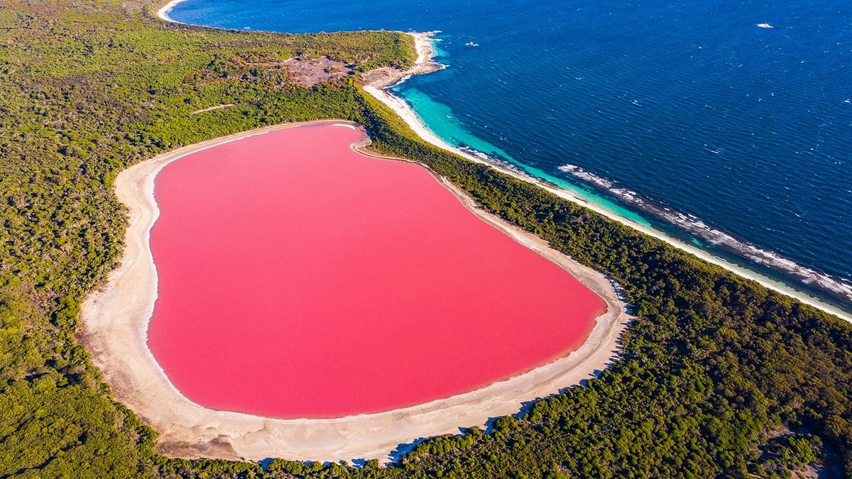 Why Are Australia's Pink Lakes Pink?